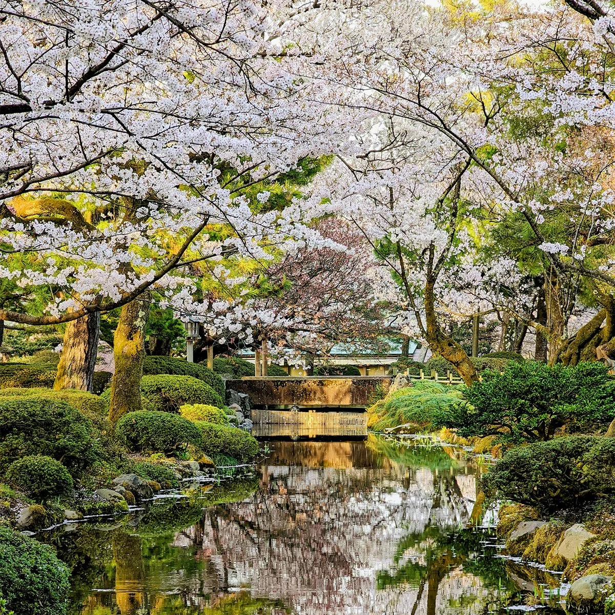 Travel Guide: Kanazawa — Danny With Love